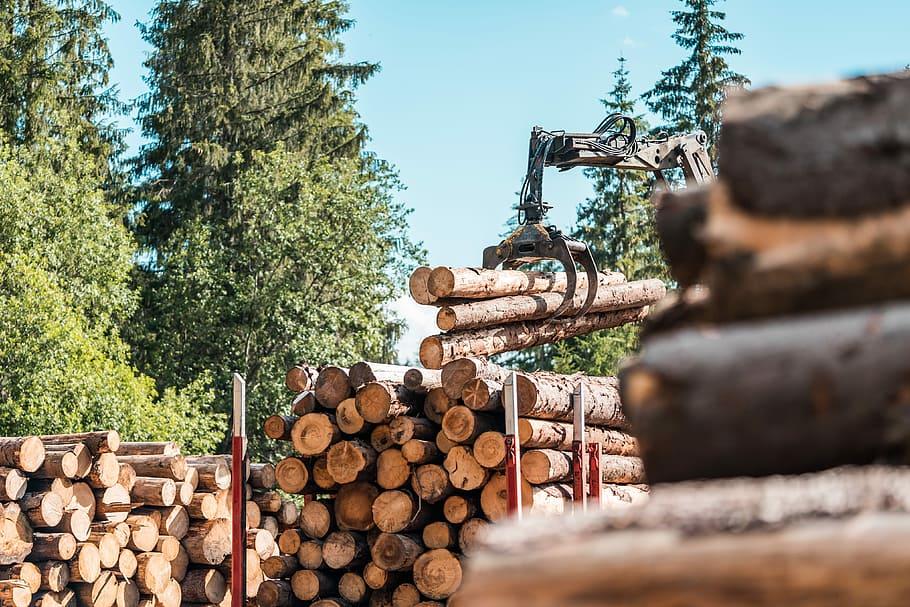 A lumber mill in Ontario